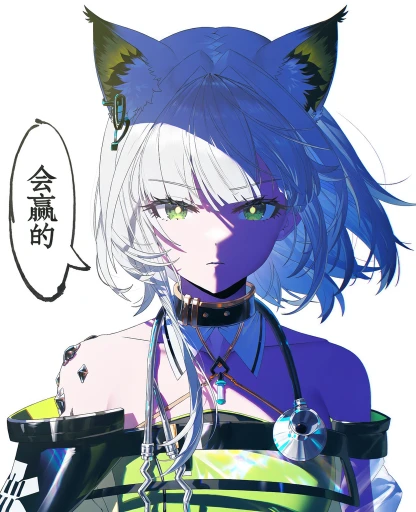 【凯尔希/普瑞赛斯】新宿对决（bushi